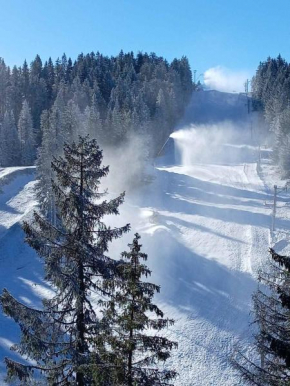 WOODSIDE WOODSIDE Apartments Kopaonik FREE Parking & SPA , FREE SKI Locker